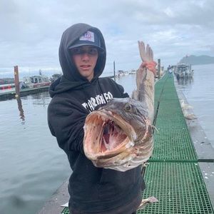 Meet your Posher, Ashton